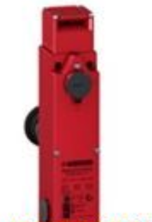 瑞士Reed浮球開關Reed液位變送器Reed接近開關