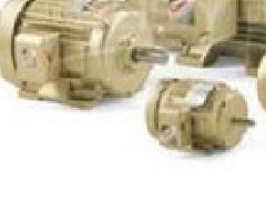 美國C.E. Niehoff無刷發電機